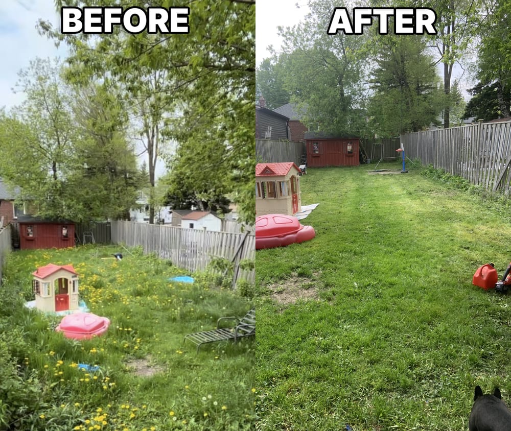 Overgrown backyard before and after mowing