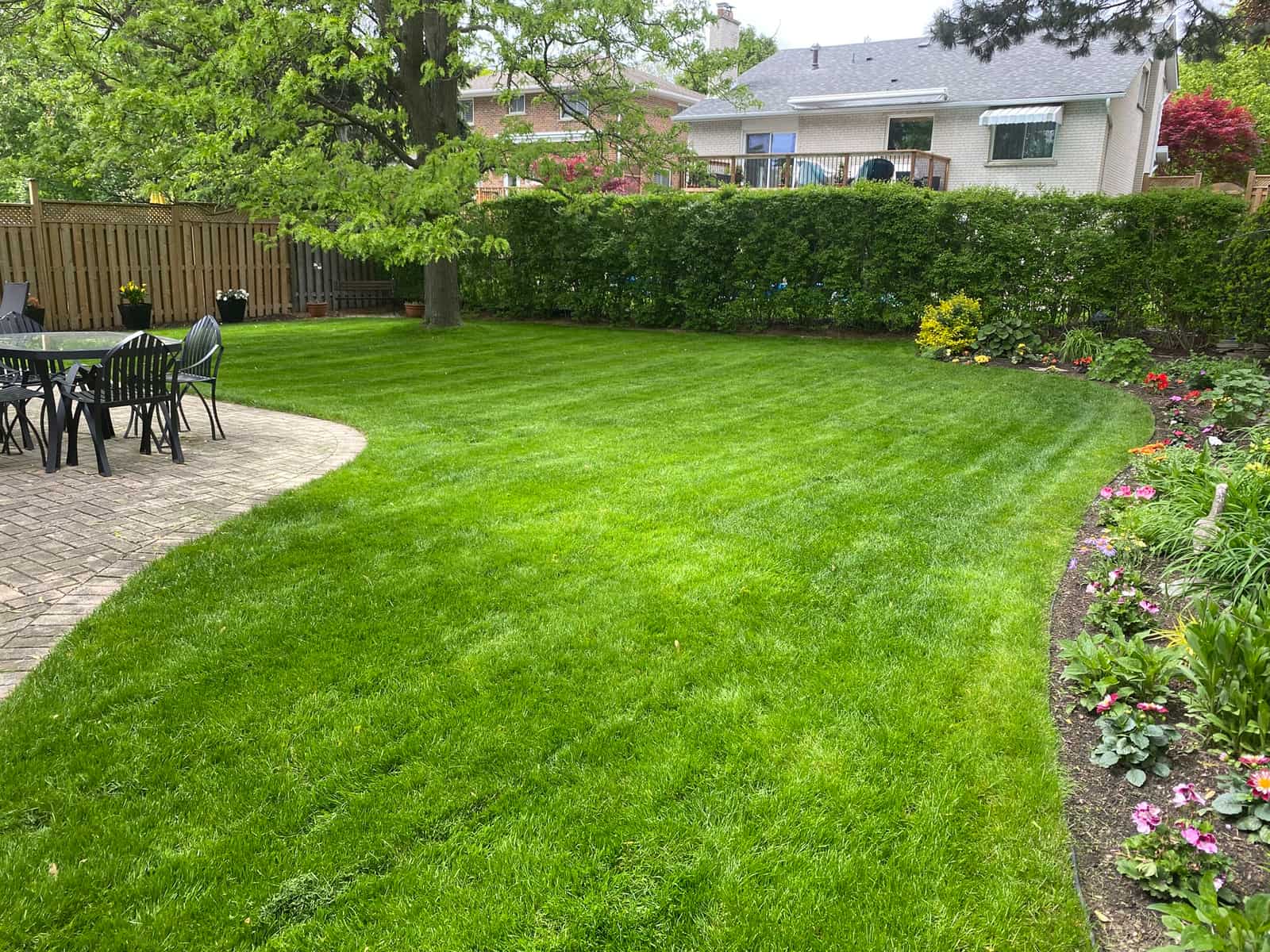 A cleared backyard lawn